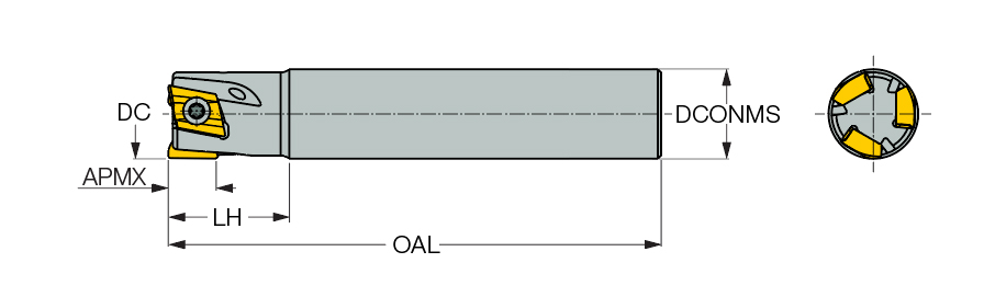 T290 ELN D12-03-C12-05