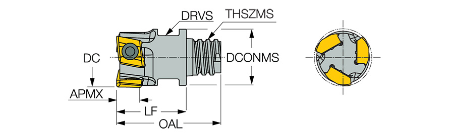 T290 ELN D12-03-MMT08-05