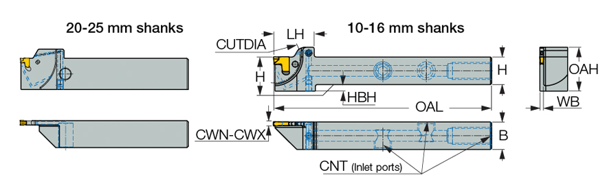 ‎TGTL 2020-3JHP